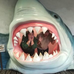 Meet your Posher, Casey